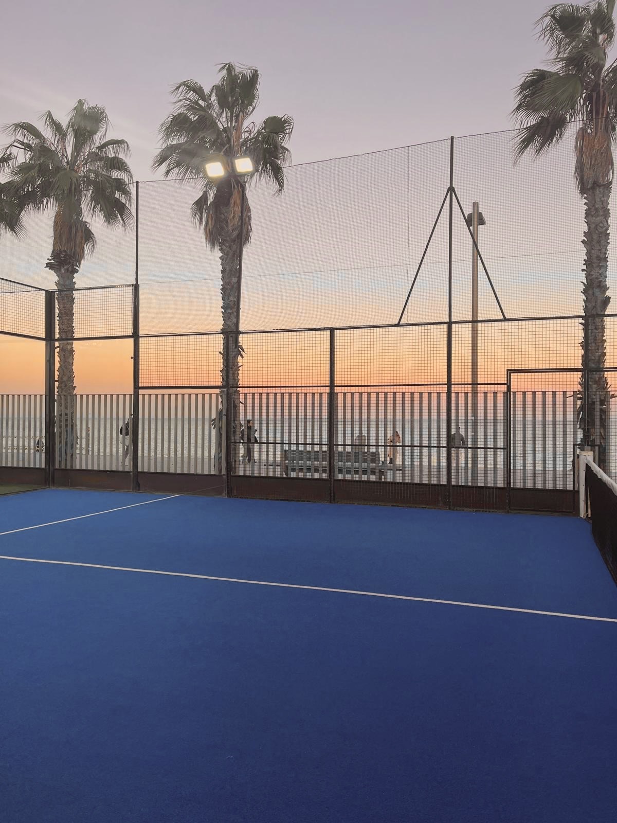 Beautiful padel court at sunset with palm trees